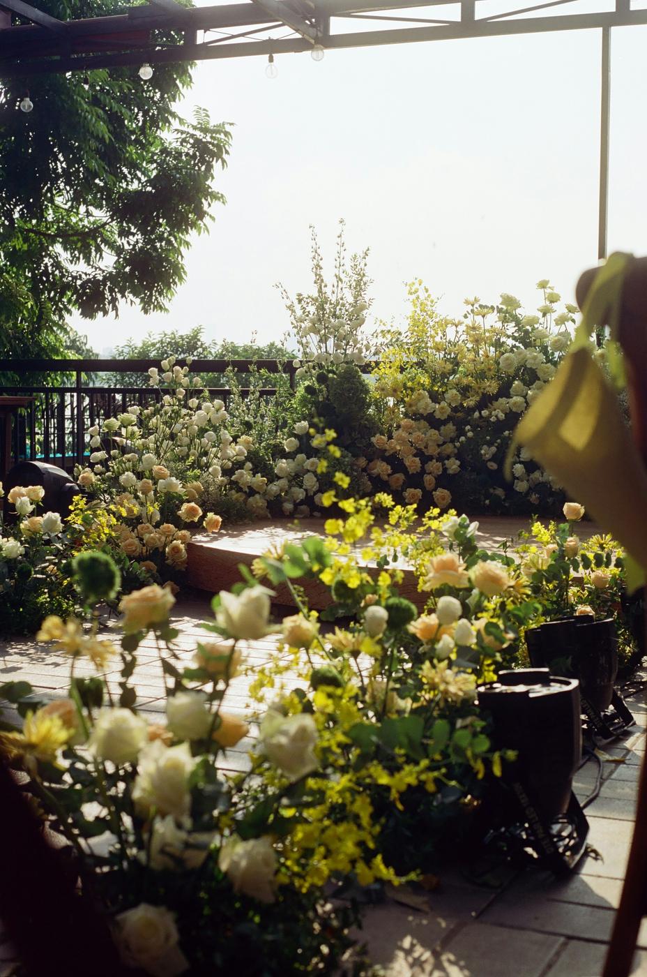 A rooftop ceremony stage framed by cream roses and yellow orchids in late sun