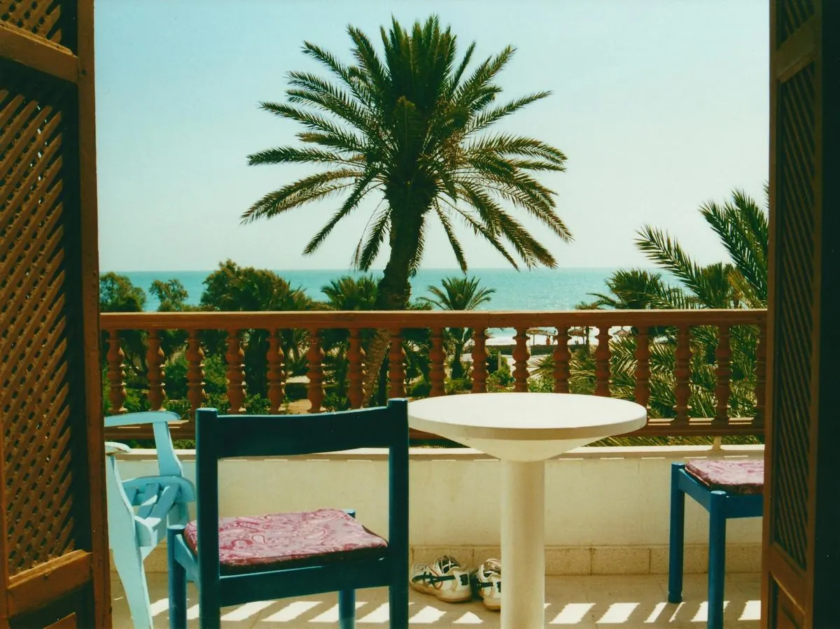 A quiet balcony table looking out past a palm tree to the sea